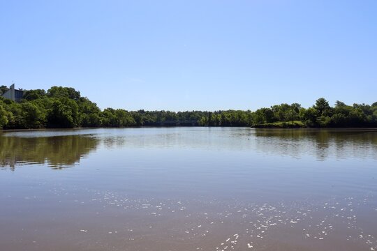 The calm lake in the woods on a sunny day.