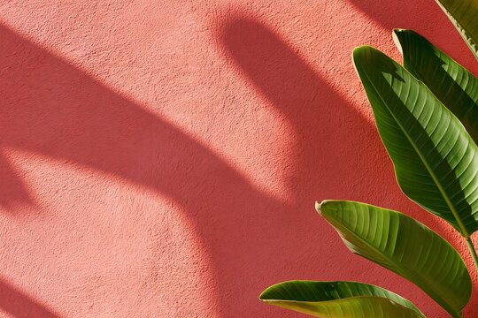 Close up of coral red textured stucco wall with tropical green leaves and strong diagonal sunlight shadows, creating a vivid botanical composition and warm outdoor garden backdrop