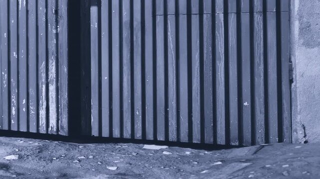 A narrow alley is showcased, featuring a rustic wooden gate that stands slightly ajar. The setting hints at a forgotten time, inviting curiosity. Shadows play across the ground.