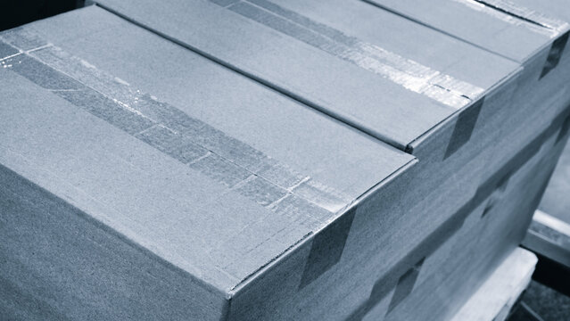 Elements of corton boxes collected in stack. Conveyor line for production of boxes. Machine cuts cardboard boxes from sheets of cardboard. Enterprise for production package.