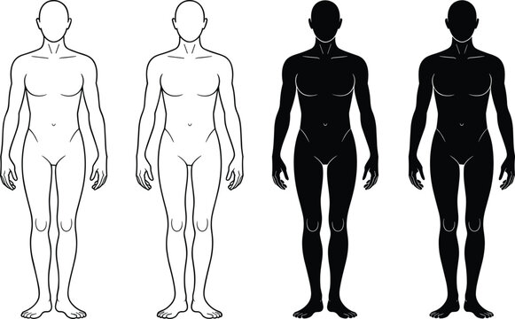 Set of four human body silhouettes showing front view outline and solid figure styles