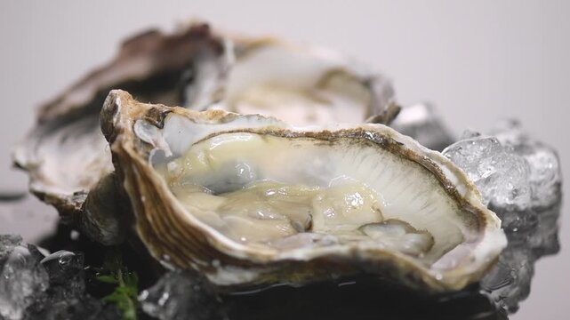Oysters on ice close up over grey background, open french oysters. Healthy sea food. Fresh Oyster dinner in restaurant. Gourmet food, delicatessen. 