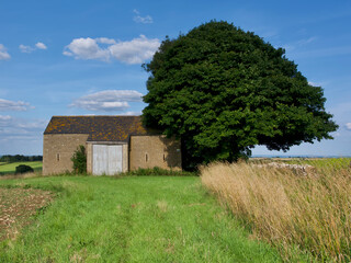 Traditional stone farm barn surrounded by green fields and tall summer grasses in the English countryside, with a large mature tree and blue sky with scattered clouds. Peaceful rural landscape © romansucho 67