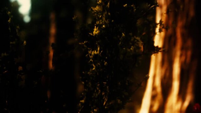 In a forest shrouded in dusk, shadows dance as soft light filters through vibrant foliage. A magical atmosphere envelops the scene, urging exploration and discovery.