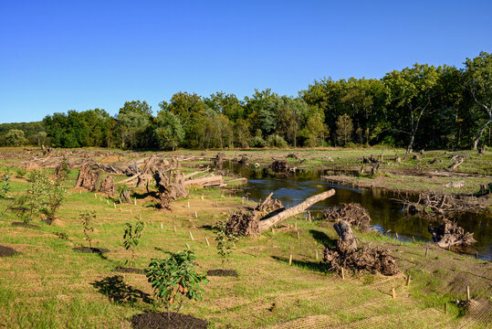 Streambank and floodplain restoration on a small stream. It includes stabilizing and or altering the stream channel to slow and direct the flow of water to reduce erosion and flooding.