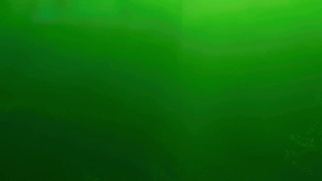 Bright shades of green fill the water, showcasing a lively underwater landscape. Swirling patterns and aquatic plants evoke a sense of tranquility and wonder beneath the surface.