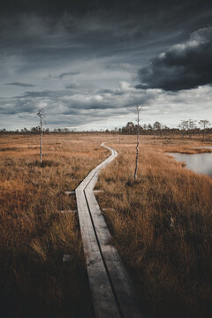 View of a wooden boardwalk winding through the Pohja-Korvemaa Nature Reserve with marshland, tall grass, and a pond under a dramatic cloudy sky in Harju County, Estonia.