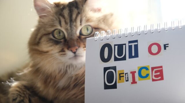 Cute cat sitting next to a notepad with the text &ldquo;Out of Office&rdquo;.  Business relax time concept.  message about work‑life balance. remote work, vacations, mental health. Enjoy a little downtime