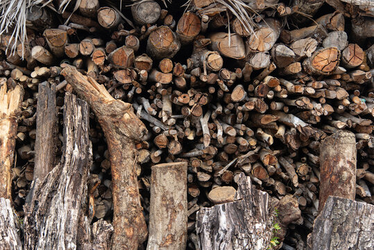 Pile of twigs and pieces of firewood