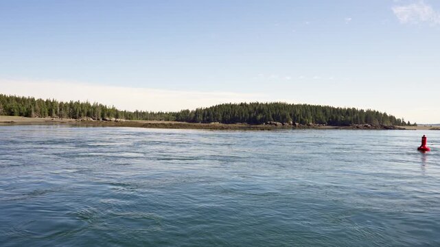 Dense coastal evergreen forest shrouded in low sea fog above calm ocean water under a clear blue sky in New Brunswick. Cinematic coastal boat view.