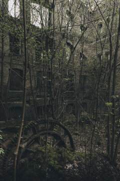 Kunda, Laane-Viru County, Estonia - 20 May 2020: View of the abandoned Kunda cement factory ruins with a large iron gear in the foreground surrounded by overgrown trees and vegetation.