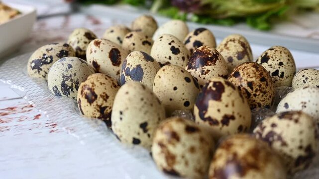 Fresh quail eggs as a healthy food ingredient for cooking