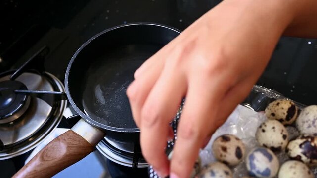 Person boiling small quail eggs in a pot