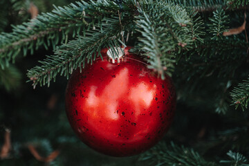 Red Bauble on Green Christmas Tree.festive background.Christmas Ornament with Copy Space greeting cards, seasonal packaging, festive branding, social media graphics and classic Christmas advertising © Yuliya