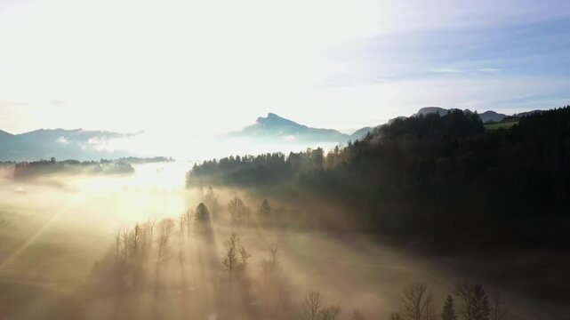 Drone flight over autumn landscape with trees in the morning fog, Mondsee, Mondseeland, Salzkammergut, Upper Austria, Austria