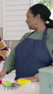 Vertical video: Smiling senior in apron lining cutters on island near compost after smile, teaching