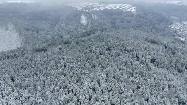Snowy winter landscape with dense forests and mountain views, Black Forest, Gechingen, Germany
