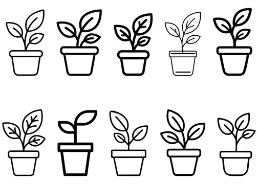 Black and white potted plant icon