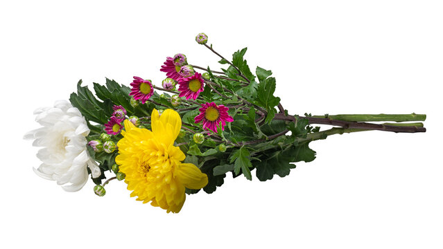 菊の花束