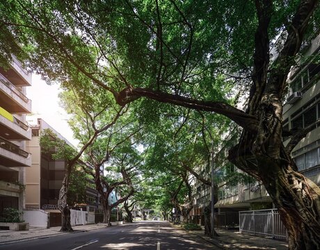 View of the tree-lined Rua Prudente de Morais with large, mature trees forming a canopy over the street and apartment buildings in Rio de Janeiro, Rio de Janeiro, Brazil.