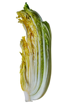 白菜 1/8カットの切り抜き。鍋料理のレシピや調理例に使える新鮮なハクサイ・冬野菜のフード素材 俯瞰