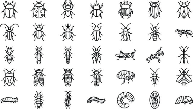 Insect and bug line art vector icon set featuring beetles ants grasshoppers and various pest control outline symbols