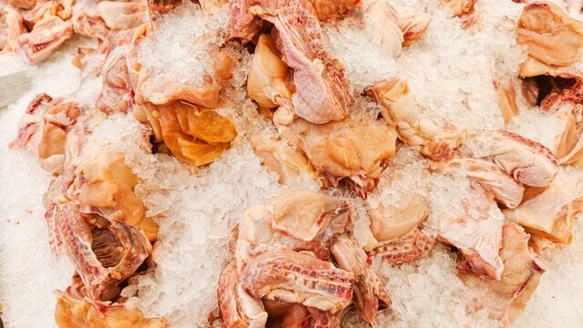 Close up the batch of cut raw chicken was placed together with ice cubes. Pile of fresh small chicken chunk cut together