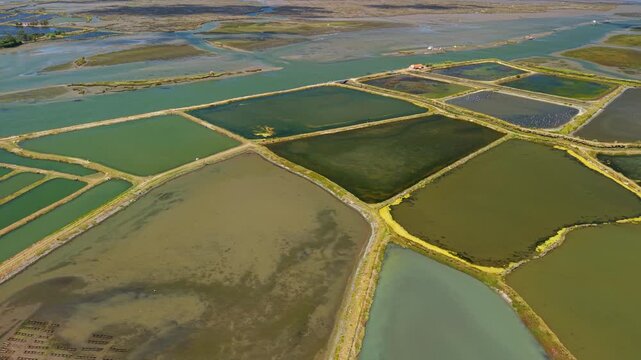 Aerial View of Geometric Salt Pans Near Aveiro, Portugal