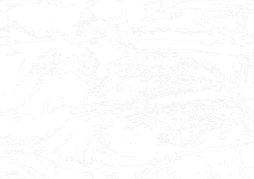 Weathered natural stone and rock surface texture converted into detailed architectural line art, featuring irregular layered forms, rough mineral patterns and organic geological details for landscape 