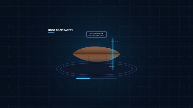 Futuristic hud animation of cassava root crop safety scanning