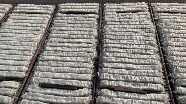 Chu rice noodles dry in direct sunlight on bamboo racks in Vietnam, with fine white strands arranged in neat rectangular sections separated by long bamboo supports.