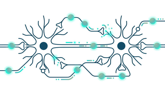 A stylized illustration depicting two interconnected neurons with glowing teal synapses and signal pathways, representing a neural network or brain activity.
