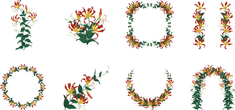 Flame lily gloriosa superba flower arrangements and frames collection.