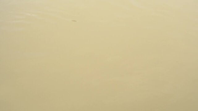 Smooth, soft beige background with subtle textured undulations