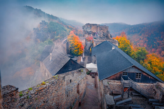 Amazing autmn view of Aggstein Castle among trees covered with orange and crimson leaves. Impressive morning scene of ancient stone 12th-century castle ruins on the shore of Danube river, Austria.