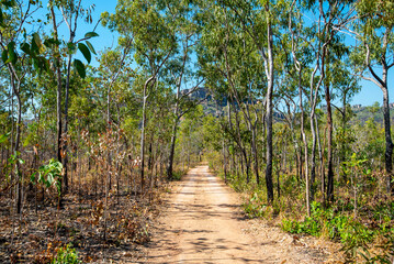 Hiking Trail in Kakadu National Park - Australia © Adwo