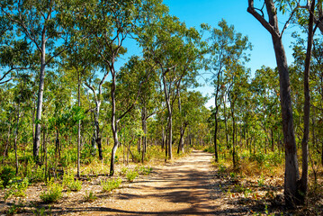 Hiking Trail in Kakadu National Park - Australia © Adwo