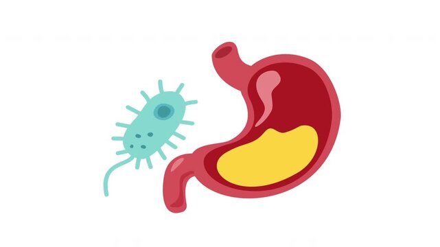 Campylobacter jejuni illustration