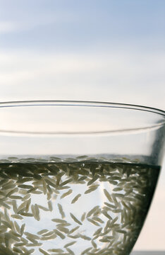 Rice soaking in a clear bowl on a kitchen counter