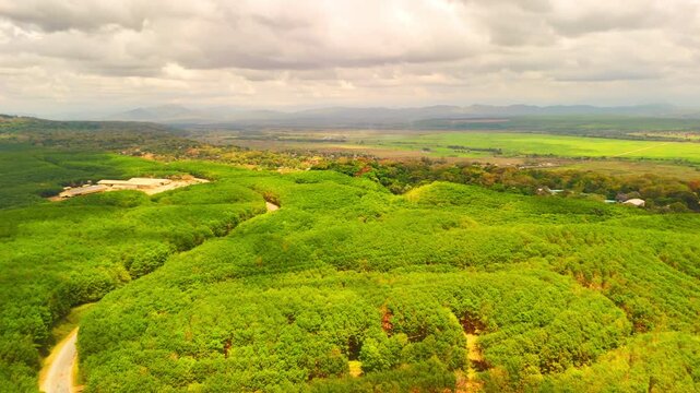 A 360-degree drone pan reveals geometric planting patterns and textured green canopy across a rubber tree plantation in Malawi, framed by rolling hills.