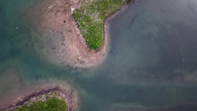 Top down drone view of grassy shoreline points with exposed stones and clear shallow water near Hessel Michigan
