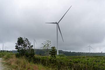 Wind turbine beside a track and trees at Cau Dat © IbragimovN