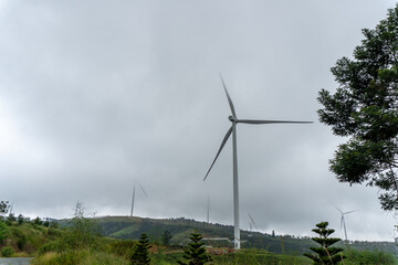 Wind turbine beside trees under gray clouds in Vietnam © IbragimovN