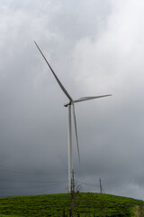 Wind turbine above tea rows beneath dark clouds © IbragimovN