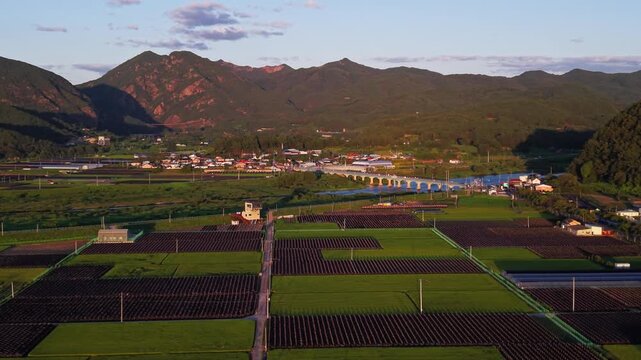 Slow zoom out across Jewon myeon in Geumsan at golden hour, rows of shaded ginseng beds and rice plots leading to Jewon bridge over Geumgang river below Wolyeongsan