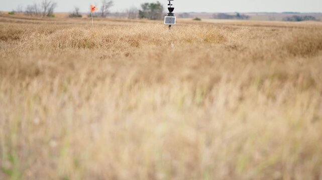 Panning shot moving up from out of focus crop to a portable weather station and orange flag on the horizon in a golden brown prairie field, showing on-farm weather monitoring