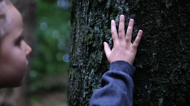 Young child reaches out to feel moss covered tree in forest. Attentive child connects with woodland nature, suggesting conservation awareness and care for living environment, exploring textured bark