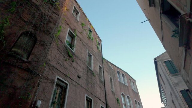 Historic brick buildings with arched windows and climbing vines