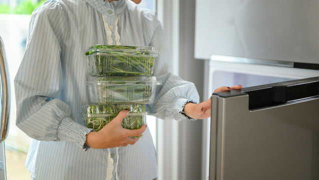 Woman storing fresh green vegetables in plastic containers into refrigerator in domestic kitchen