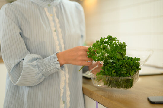 Closeup Woman in light blue dress picking fresh curly parsley from plastic container on wooden kitchen counter